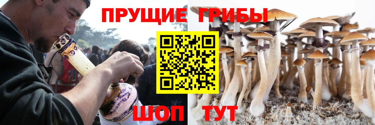 Псилоцибиновые грибы мухоморы Карталы