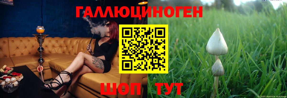 Псилоцибиновые грибы Psilocybe  Псилоцибиновые грибы прущие грибы  Вход с VPN  Карталы 