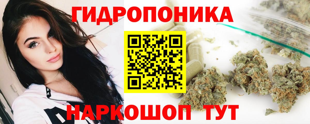 Бошки Шишки сатива Карталы